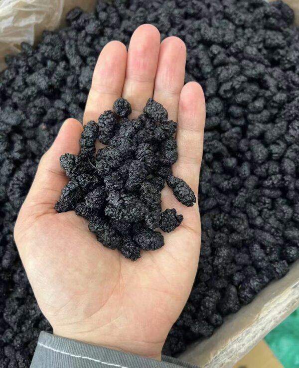 桑葚dried mulberry - Image 3