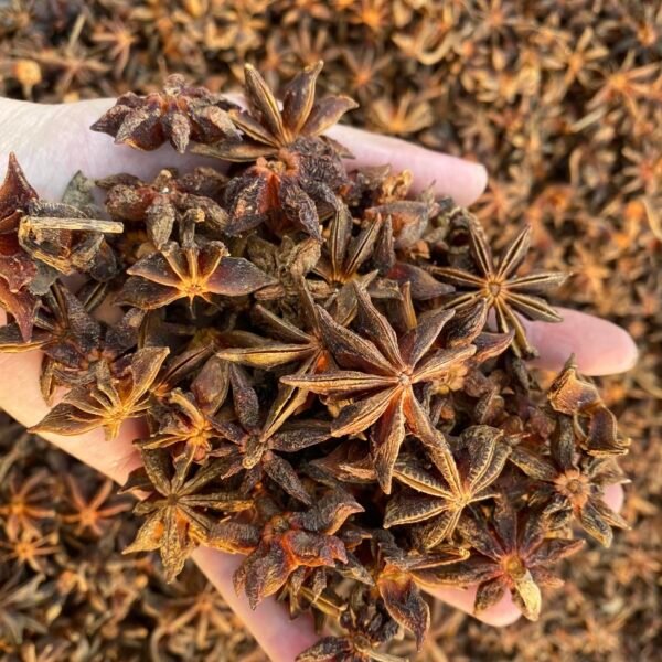 八角 aniseed - Image 2