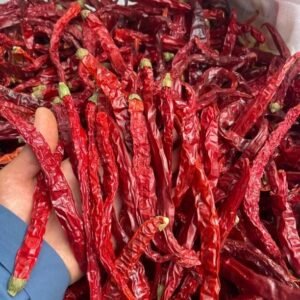 二荆条干辣椒 Erjingtiao dried chili pepper