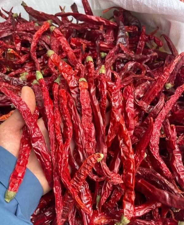 二荆条干辣椒 Erjingtiao dried chili pepper