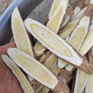 黄芪 Astragalus membranaceus
