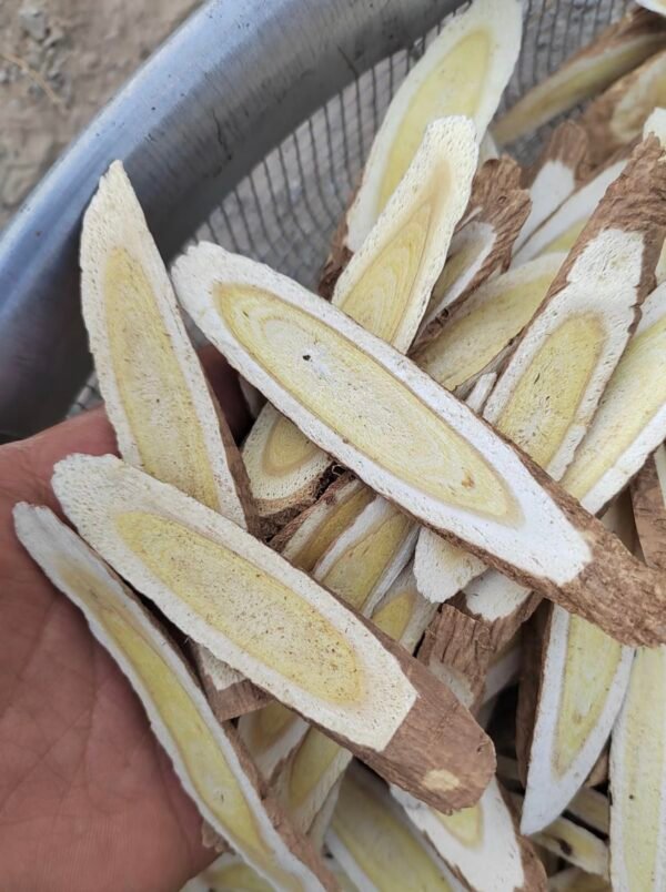 黄芪 Astragalus membranaceus