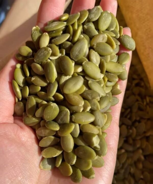 南瓜仁Pumpkin Kernels - Image 4