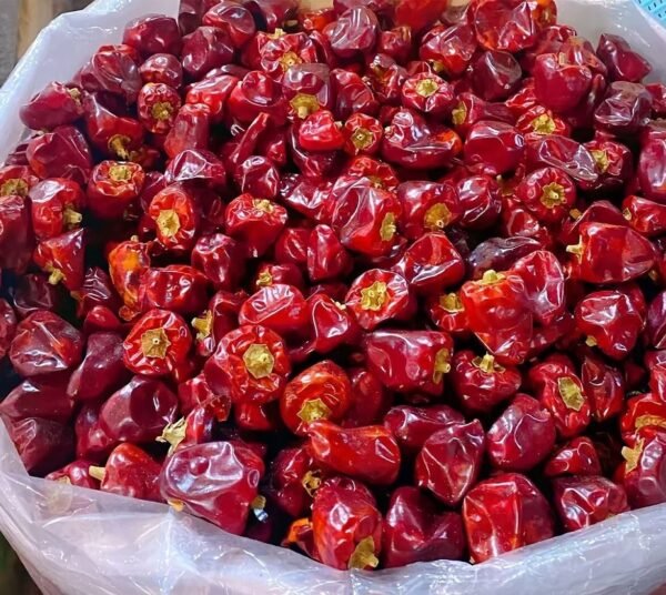 灯笼椒 bell pepper - Image 2
