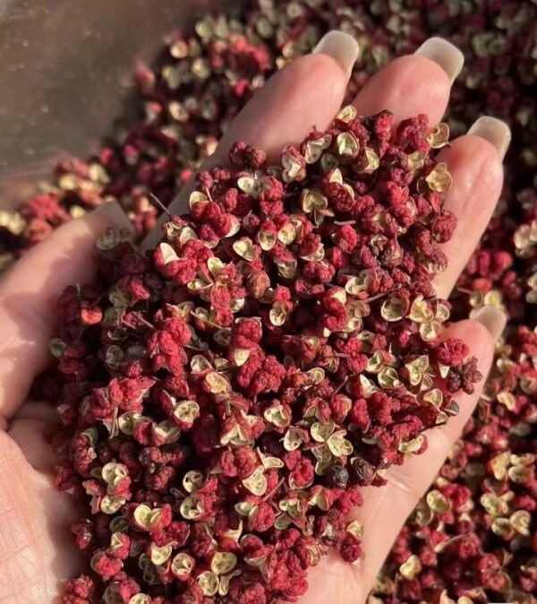 大红袍花椒 Dahongpao Sichuan Pepper - Image 2