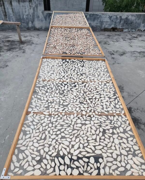 淮山药Dioscorea opposita (a kind of Chinese yam) - Image 3