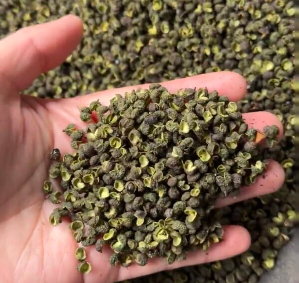 青花椒 Green Sichuan Pepper - Image 2