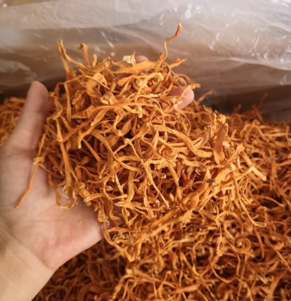 虫草花Cordyceps Flower - Image 2