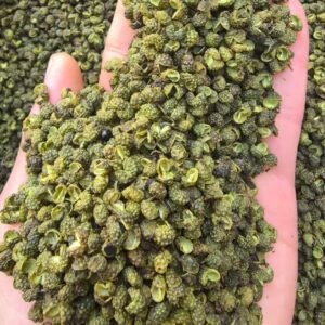 青花椒 Green Sichuan Pepper
