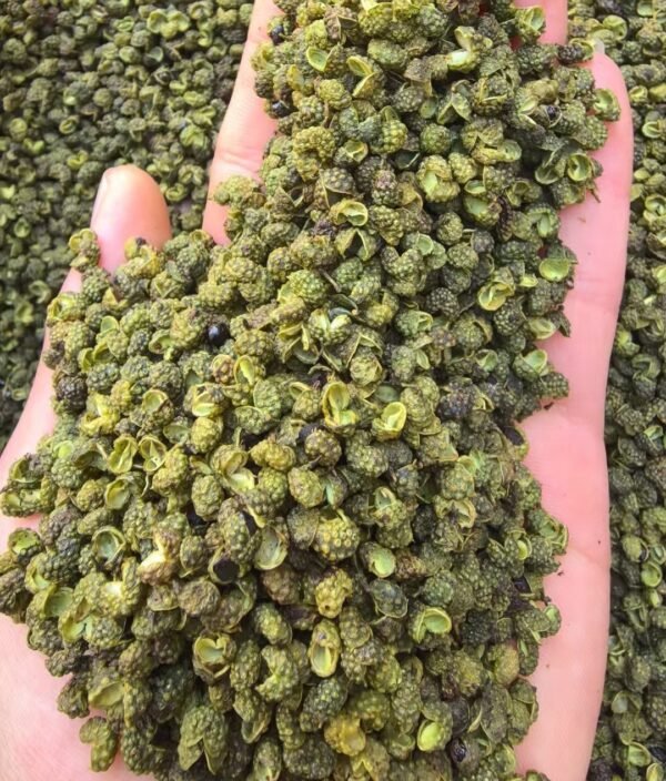 青花椒 Green Sichuan Pepper