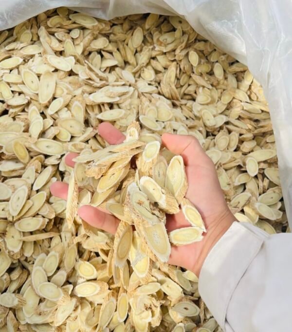 黄芪 Astragalus membranaceus - Image 4