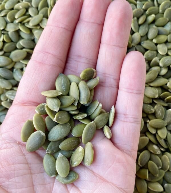 南瓜仁Pumpkin Kernels