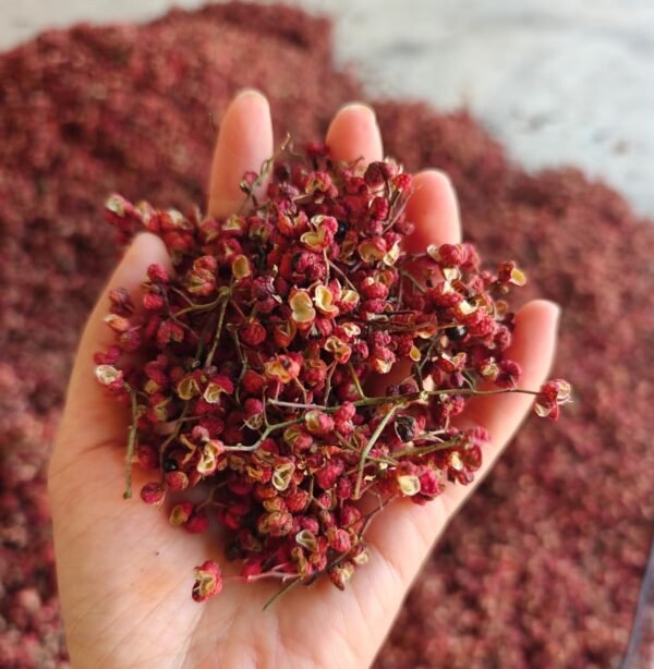大红袍花椒 Dahongpao Sichuan Pepper - Image 3