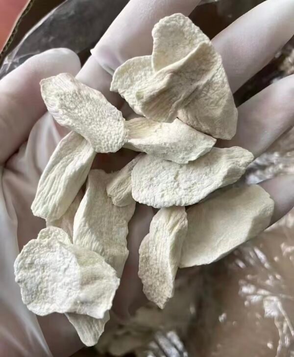 淮山药Dioscorea opposita (a kind of Chinese yam) - Image 4