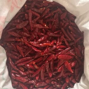 河南朝天椒（三樱椒）Henan Red cluster pepper