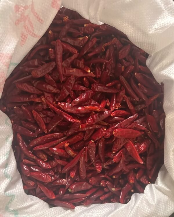 河南朝天椒（三樱椒）Henan Red cluster pepper