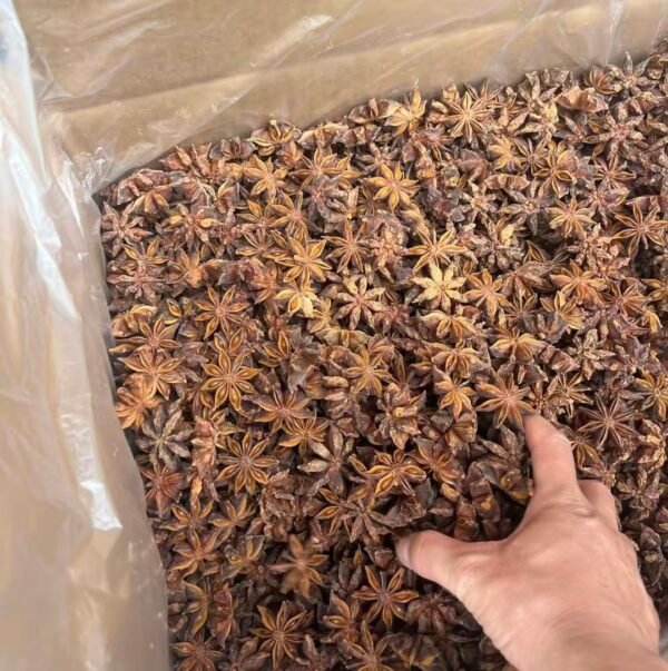 八角 aniseed - Image 4