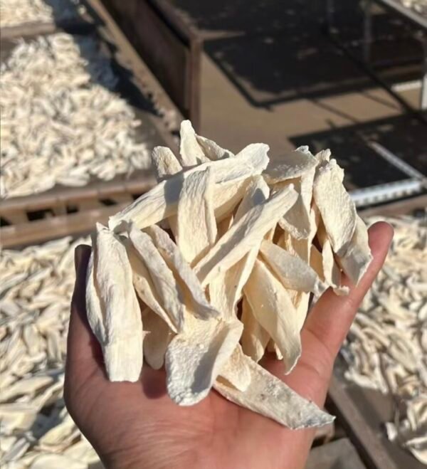 淮山药Dioscorea opposita (a kind of Chinese yam) - Image 2