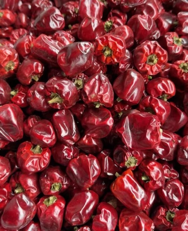 灯笼椒 bell pepper - Image 3