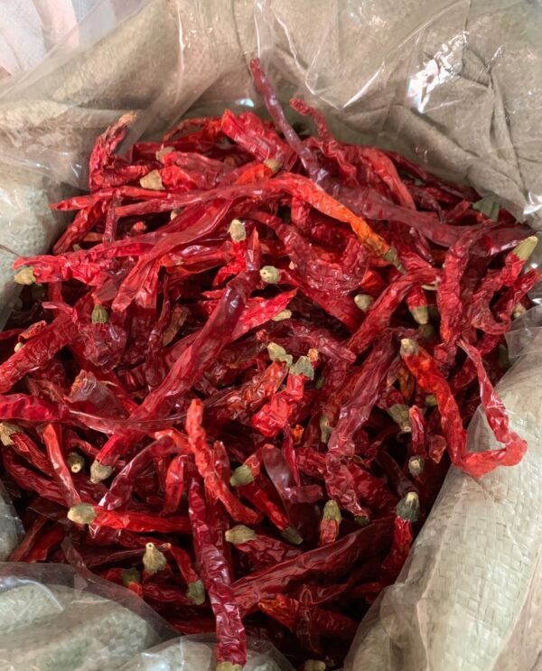 二荆条干辣椒 Erjingtiao dried chili pepper - Image 2