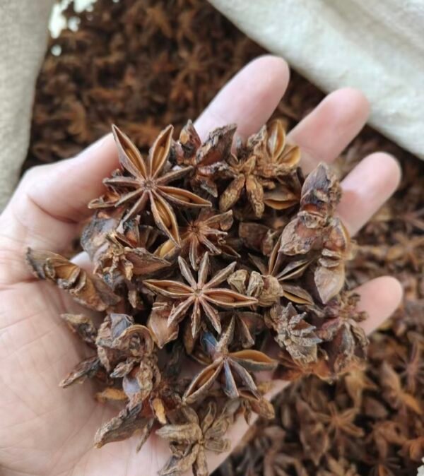 八角 aniseed - Image 3