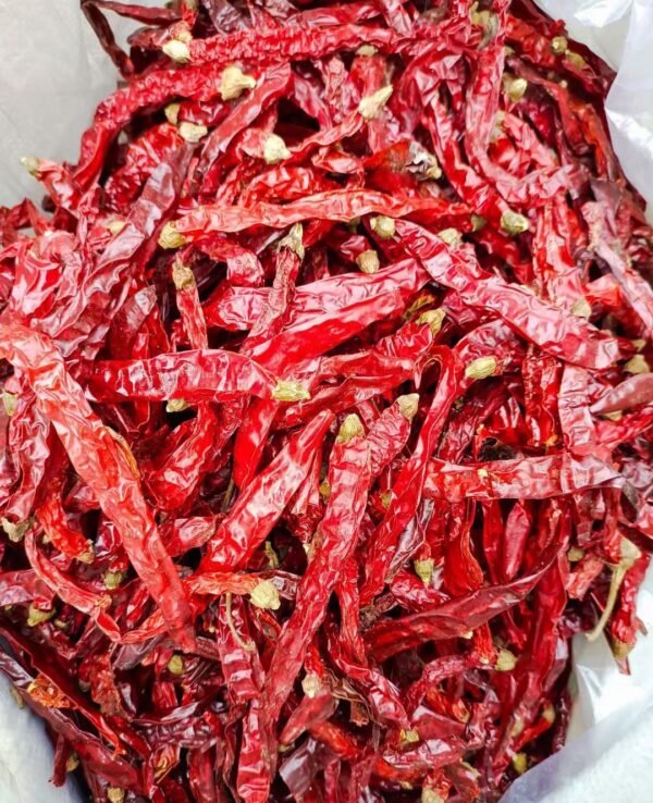 二荆条干辣椒 Erjingtiao dried chili pepper - Image 3