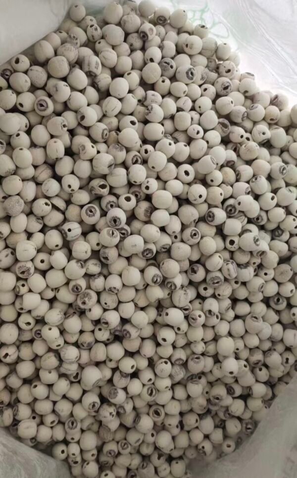 莲子lotus seed - Image 3